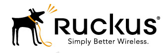 Ruckus Wireless Logo